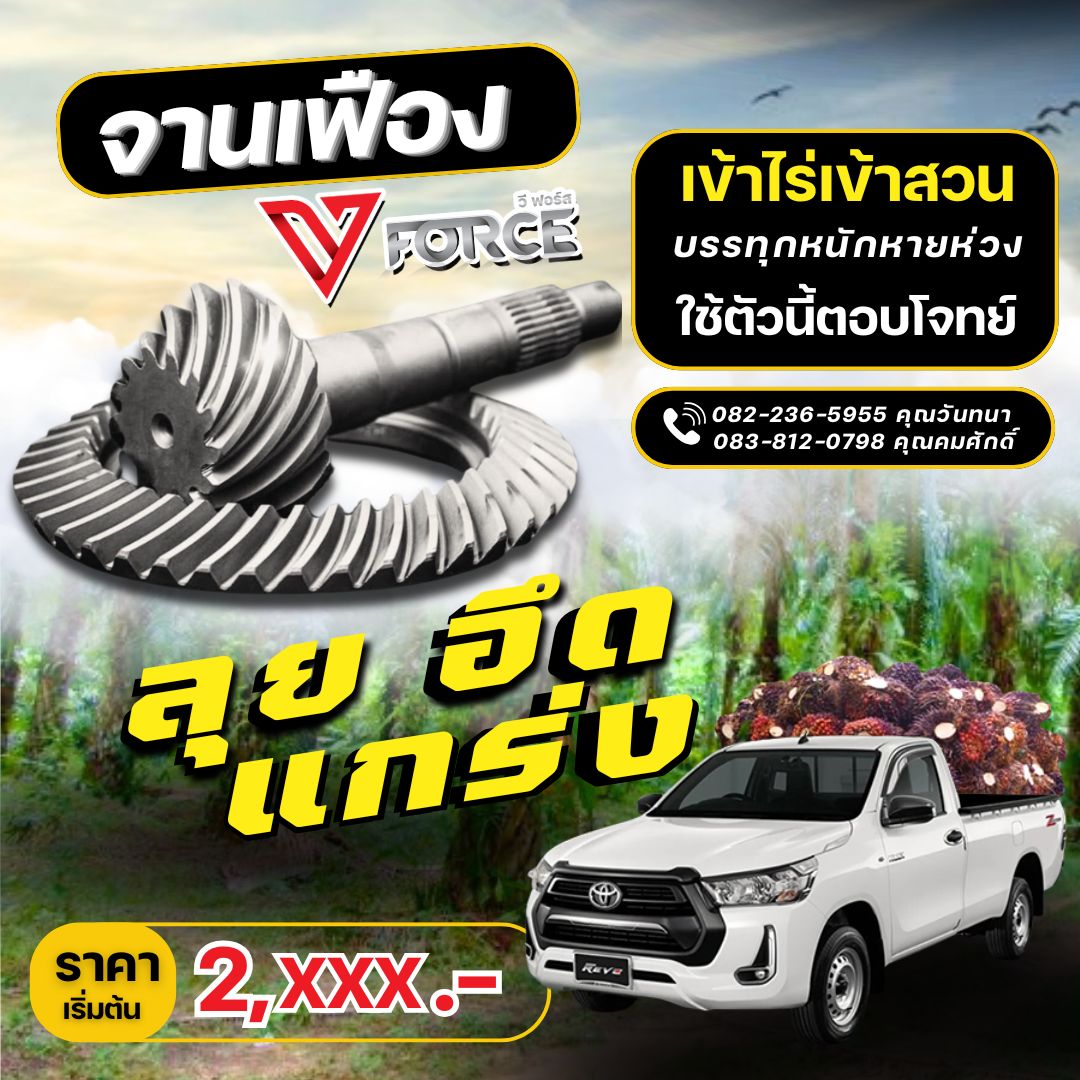จานเฟือง VFORCE รูปที่ 2